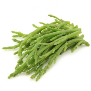 Alga fresca salicornia bandeja 100 gr