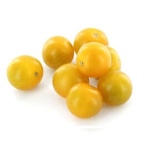 Cherry amarillo bdj