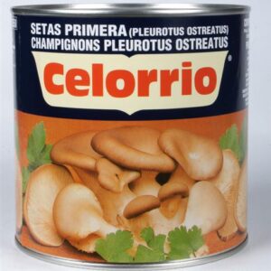 Setas de cardo lata 3 kilos