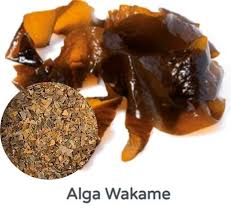 Algas wakame frescas salazon 200 gr