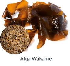 Algas wakame frescas salazon 200 gr 