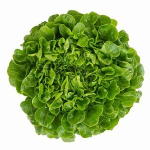 Caja de lechuga viva Salanova 