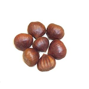 Castaña cruda sin pelar kgr