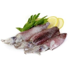 Chipiron 4L Patagonia  KGR  PESAR  *********