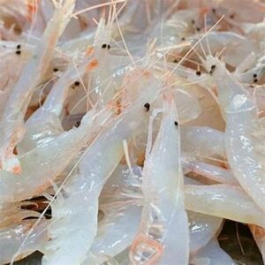 Gambas cristal k 