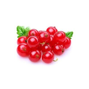 Grosella fresca Bandeja