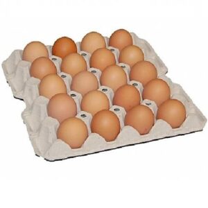 Huevos XL 73 gramos carton 20 unid