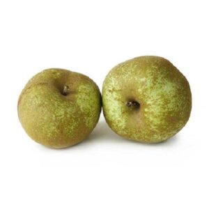 Manzanas reinetas KGR