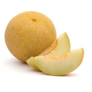Melón galia