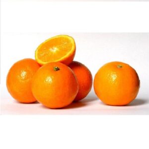 Naranjas SALUSTIANA kgr