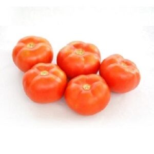 Tomate entero UNIDAD  pvp por kgr 