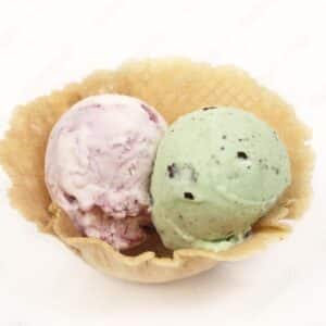 Tulipas Blancas helado165 unid