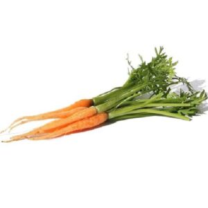 Zanahoria MICRO  30 unid 