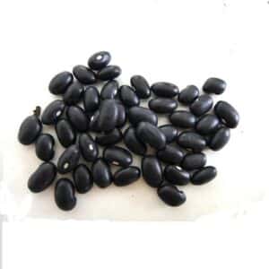 Alubias Negras Frijol 500 gr