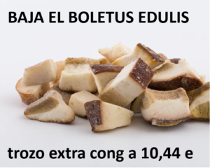 Boletus