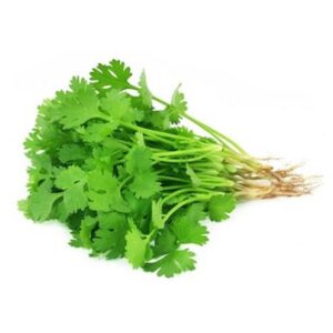 Cilantro fresco ***