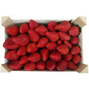 Fresas frescas k