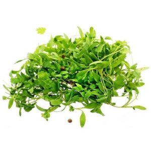 Micro brotes de mandarina 25 gr
