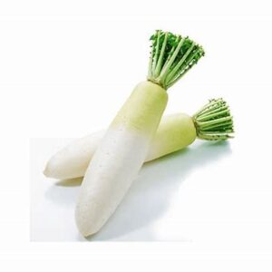 Nabo Daikon kgr 