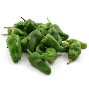 Pimiento del Padrón gordo k 