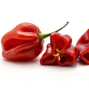 Pimientos habaneros kgr 