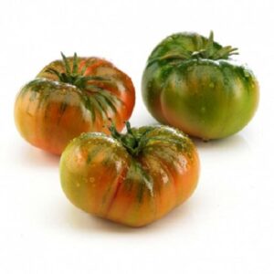 Tomate Raf kgr